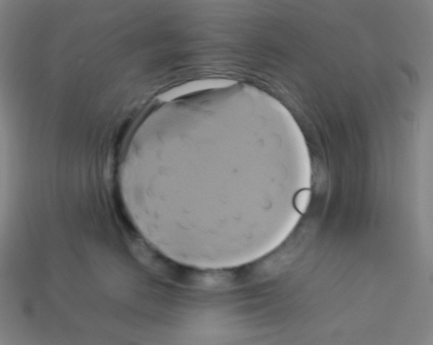 X0000113110670200910091200