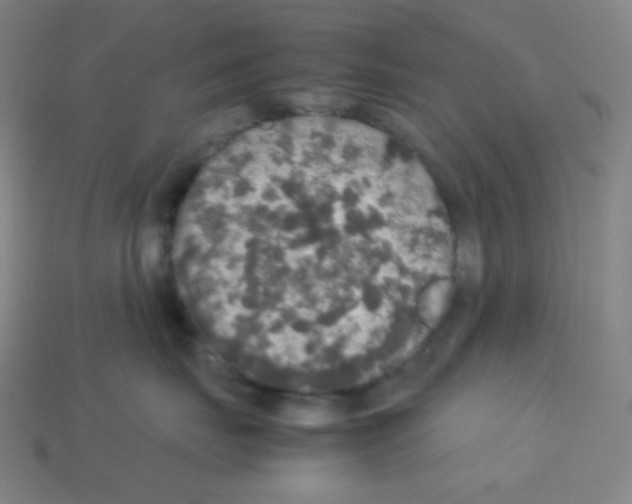 X0000113110671200910091200