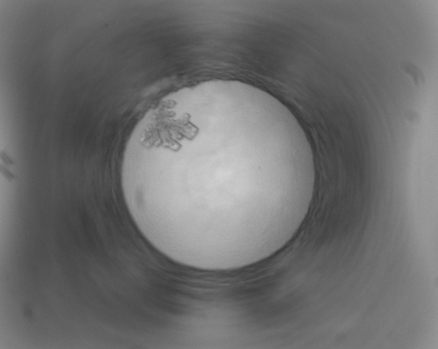 X0000113110672200910091200