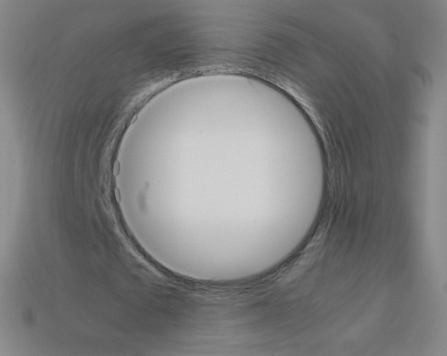 X0000113110673200910091200