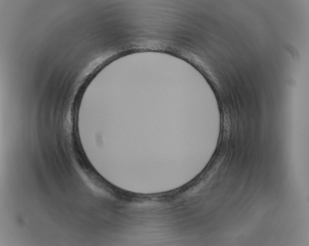 X0000113110674200910091200