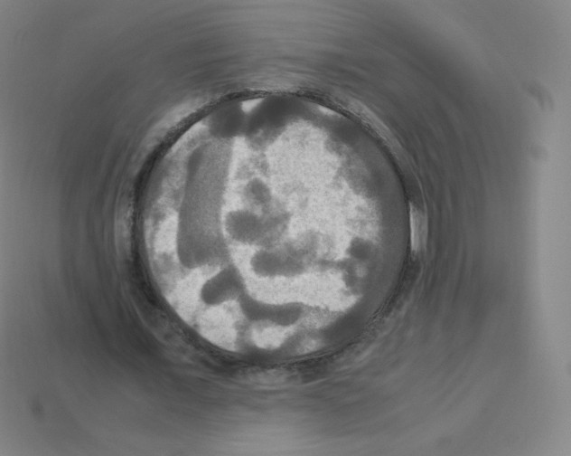 X0000113110675200910091200