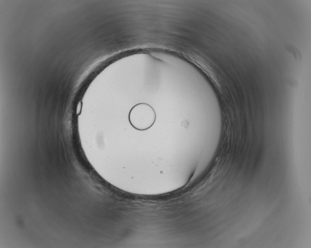 X0000113110676200910091200