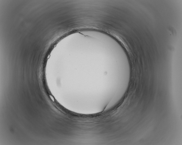X0000113110677200910091200