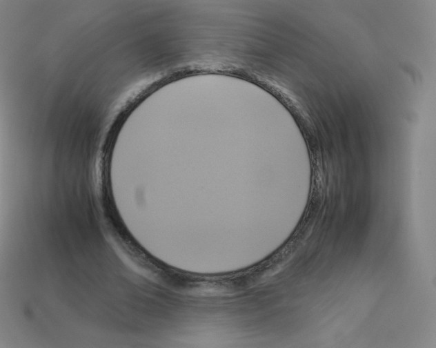X0000113110678200910091200