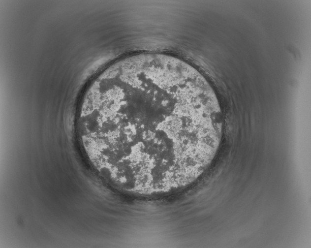 X0000113110679200910091200