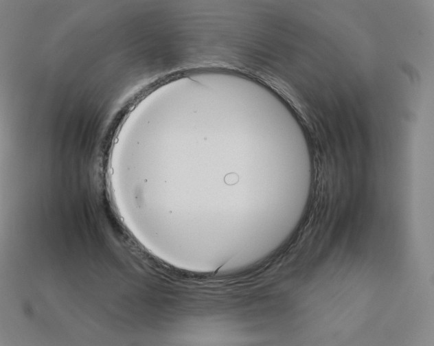 X0000113110680200910091200