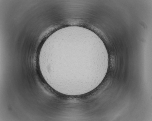 X0000113110682200910091200