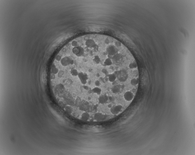 X0000113110683200910091200