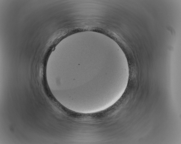 X0000113110685200910091200
