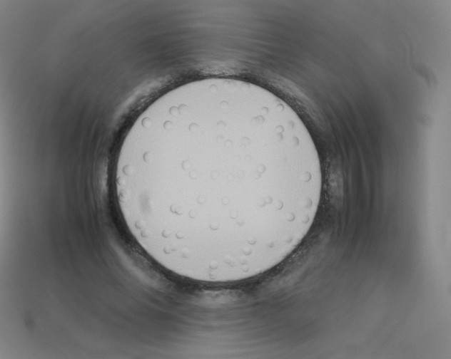 X0000113110686200910091200