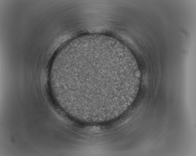 X0000113110687200910091200