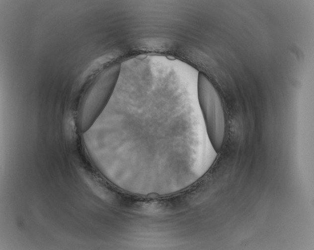X0000113110688200910091200