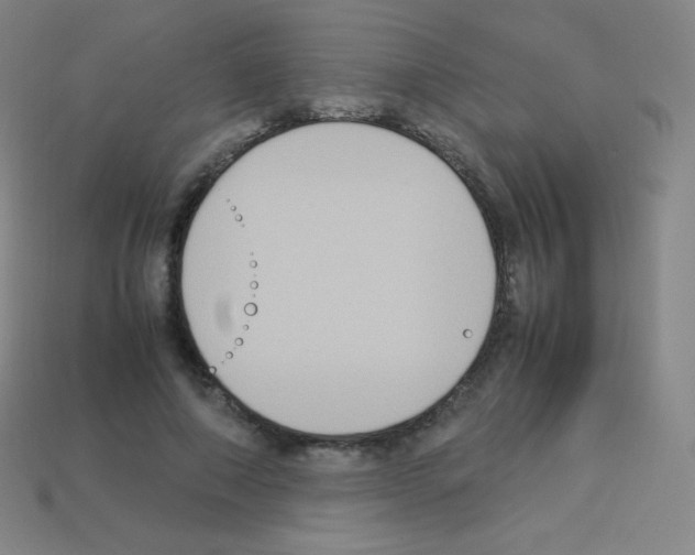 X0000113110690200910091200