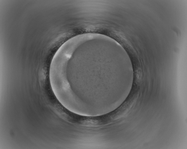 X0000113110691200910091200