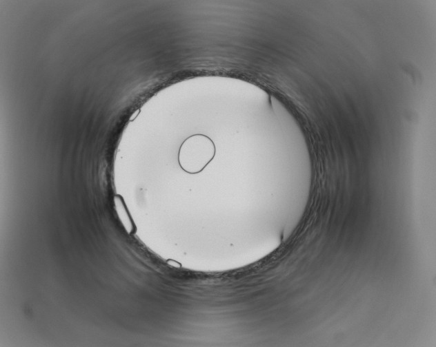 X0000113110692200910091200