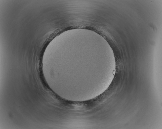 X0000113110693200910091200