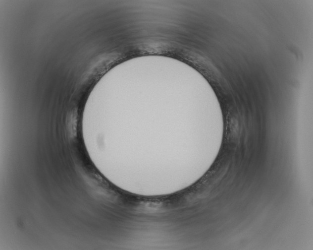 X0000113110694200910091200