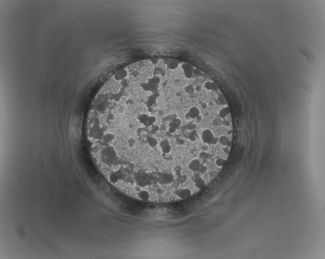 X0000113110695200910091200