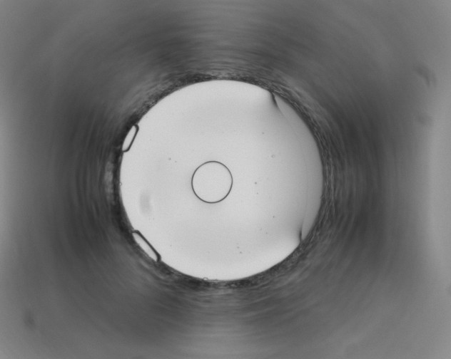 X0000113110696200910091200