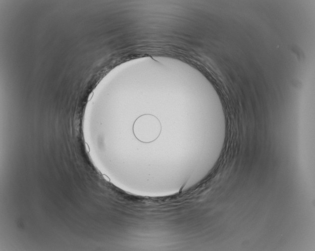 X0000113110697200910091200