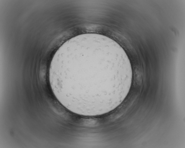 X0000113110698200910091159