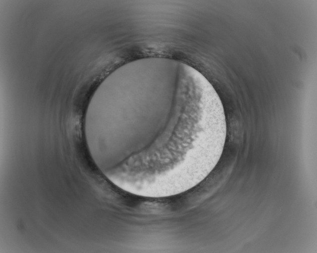 X0000113110699200910091159