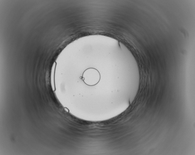 X0000113110700200910091159