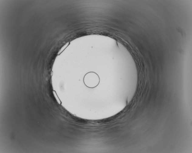 X0000113110701200910091159
