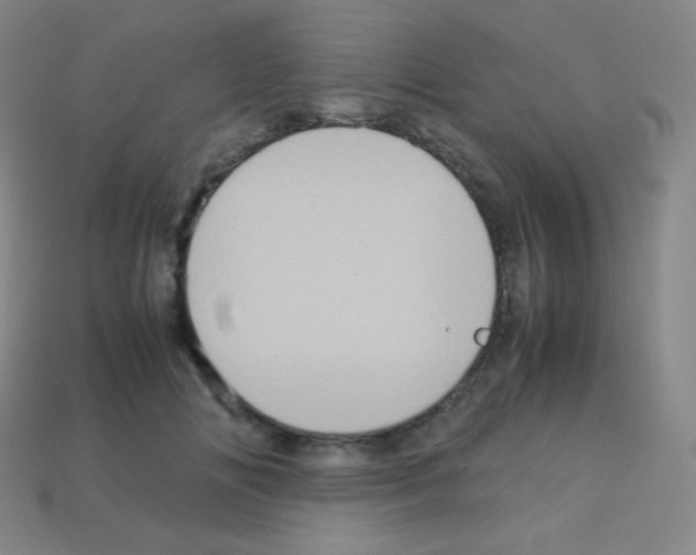 X0000113110702200910091159