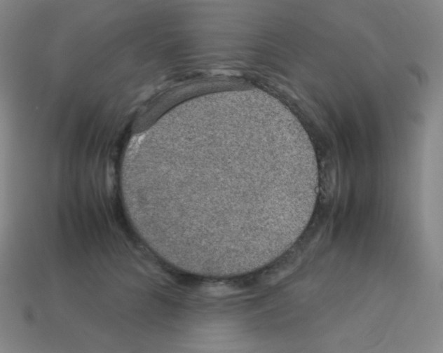 X0000113110704200910091159