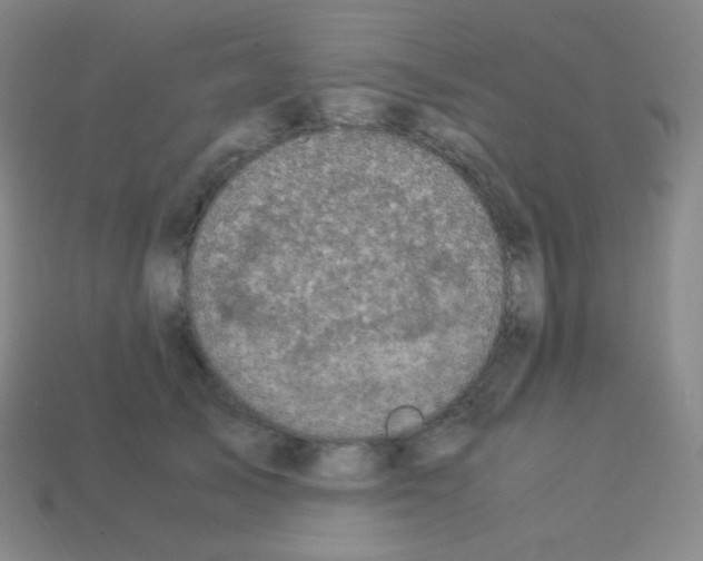 X0000113110705200910091159