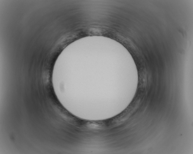 X0000113110706200910091159