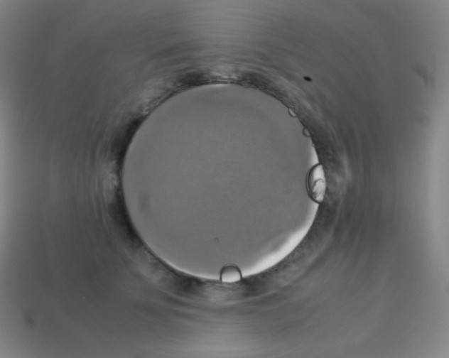 X0000113110707200910091159