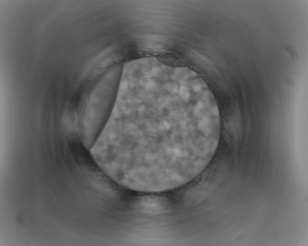 X0000113110708200910091159