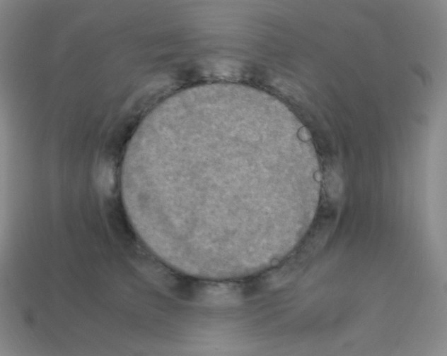 X0000113110709200910091159