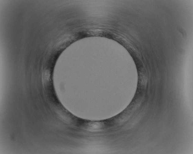 X0000113110711200910091159