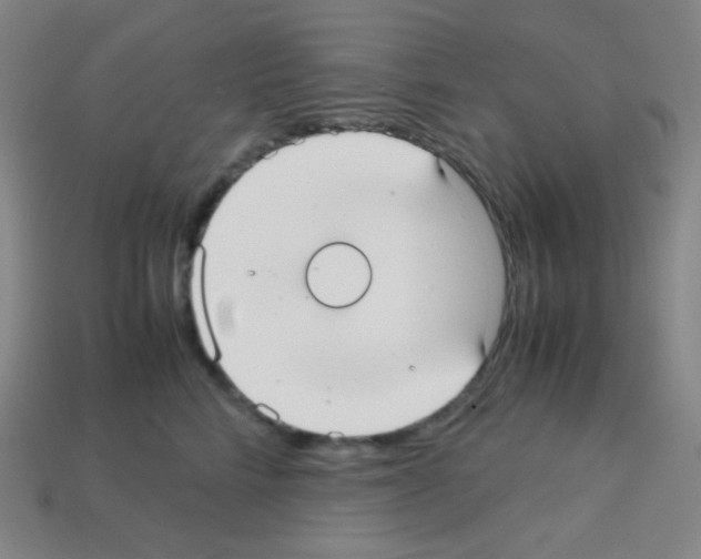 X0000113110712200910091159