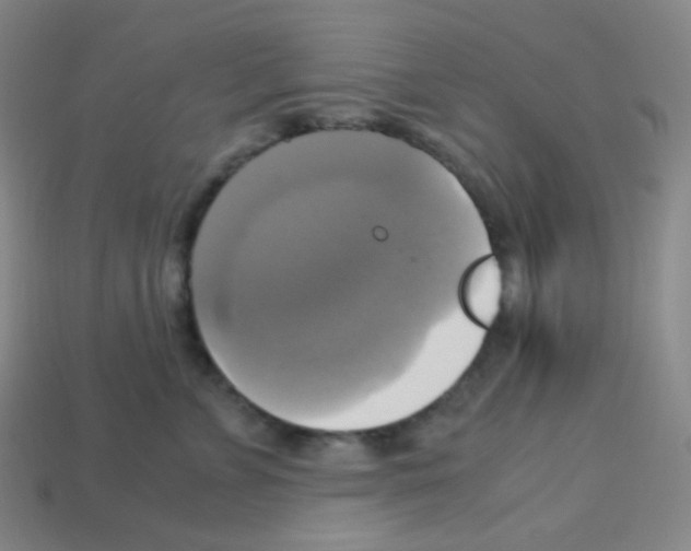 X0000113110715200910091159