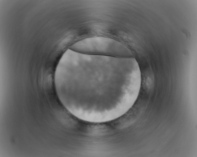 X0000113110716200910091159