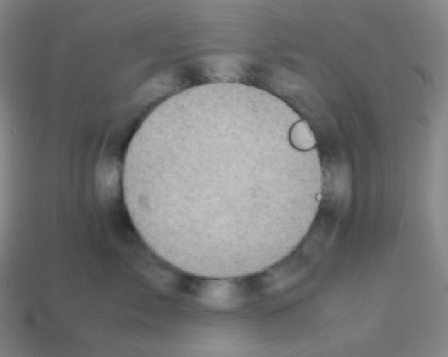 X0000113110717200910091159