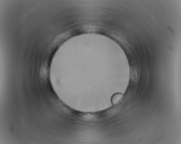 X0000113110718200910091159