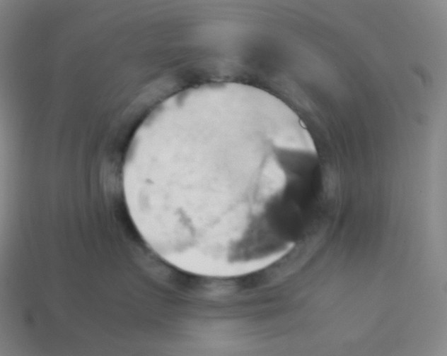 X0000113110719200910091159