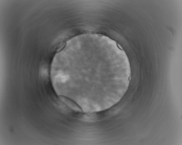 X0000113110720200910091159