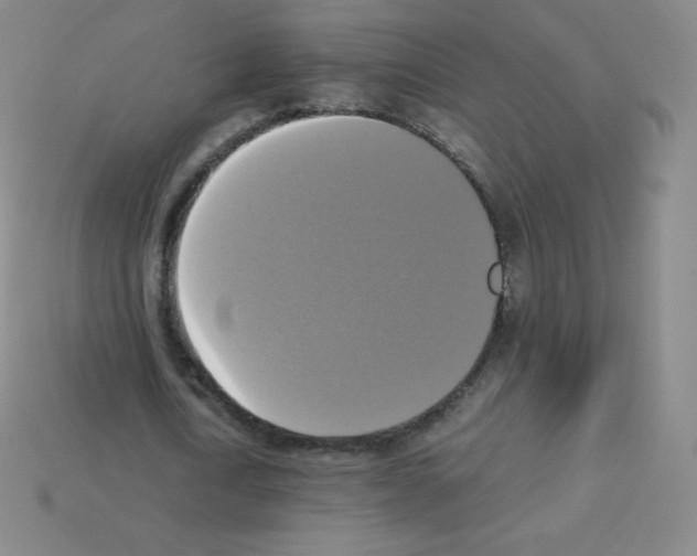 X0000113110722200910091159