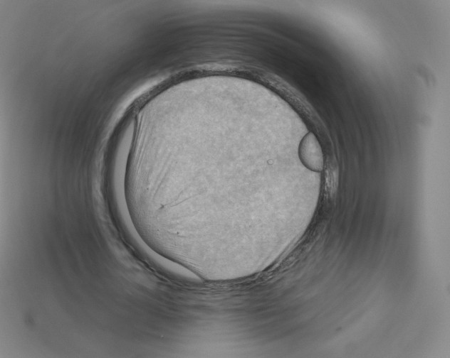 X0000113110724200910091159