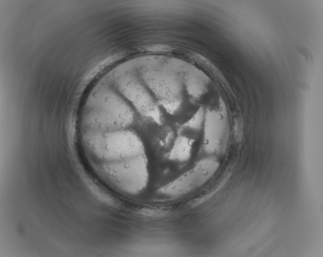 X0000113110725200910091159