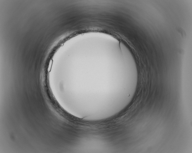 X0000113110726200910091159