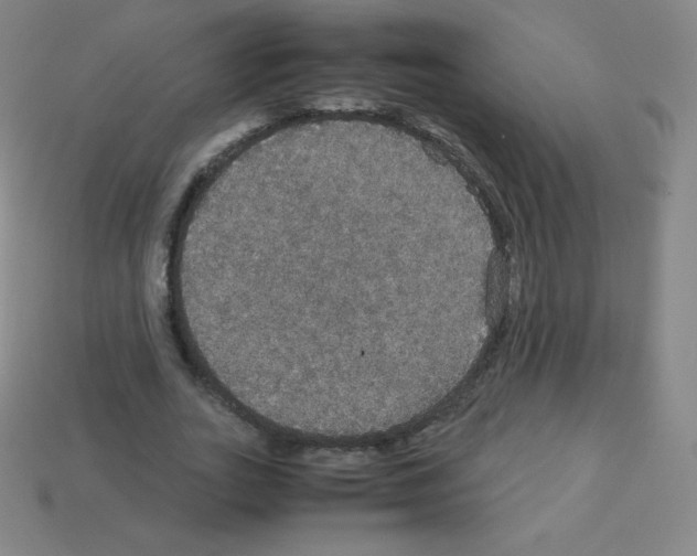 X0000113110727200910091159