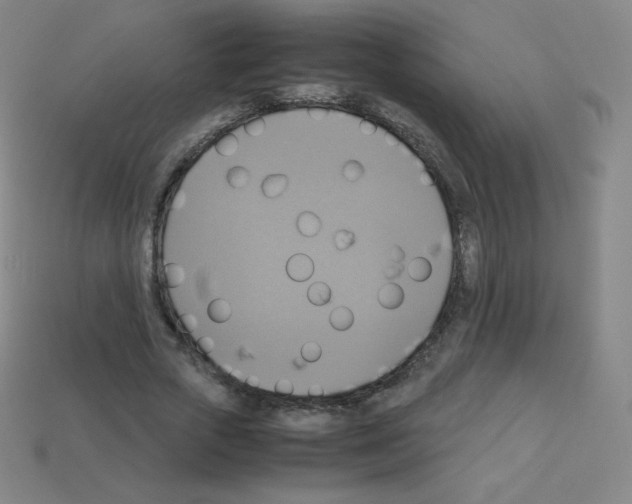 X0000113110729200910091159